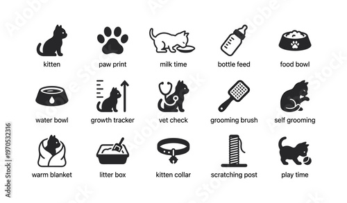 Cat care essentials icons: kitten routine with food, litter, and play items