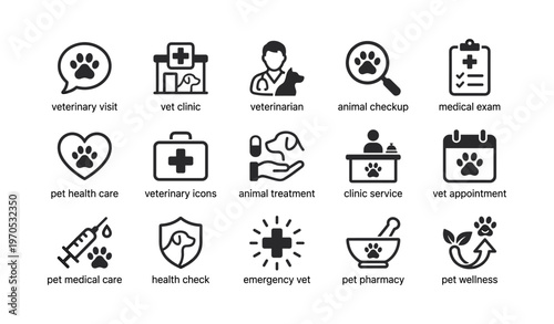 Veterinary icons: pet health care, clinic visit, medical exam, animal treatment