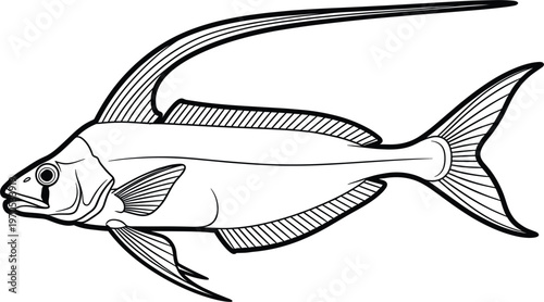 Flying Fish Vector Illustration with Detailed Line Art for Aquatic Life, Marine Creatures, and Ocean Designs