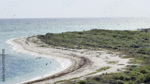 Wallpaper Mural Telephoto Pan of Dry Tortugas Beach Spit with Frigatebirds Torontodigital.ca
