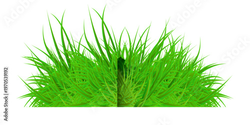 Green grass border set vector illustration collection of fresh lawn edges natural garden decorative elements for landscape design templates isolated on white