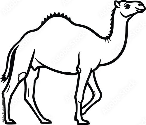 Camel Animal Vector Illustration with Detailed Line Art for Desert Life, Wildlife, and Farm Animal Designs