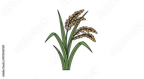 Green plant with seed heads growing.