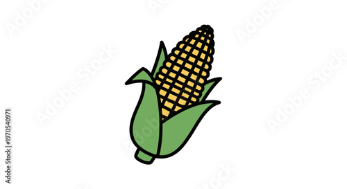 Fresh Corn on the Cob Vegetable.