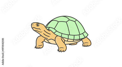 Turtle Walking on Land Slowly Forward.