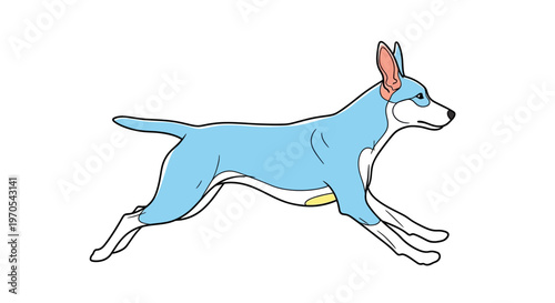 Blue dog running fast outside.