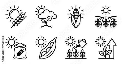 Agricultural farming icons set with wheat corn and plant growth symbols under sun and weather icons