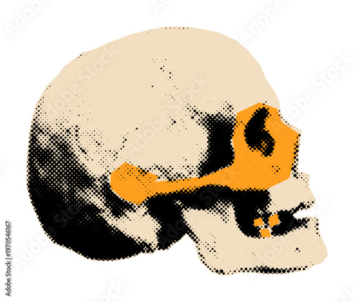 Human skull halftone cutout.