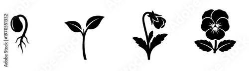 Pansy Flower Growth Stage Silhouette Vector Set, Botanical Life Cycle from Seed to Bloom, Gardening Infographic Element, Viola Tricolor Plant Development Icon, Isolated Black