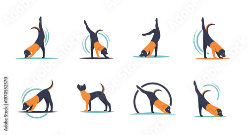 Set of Dog Yoga Poses and Exercises.