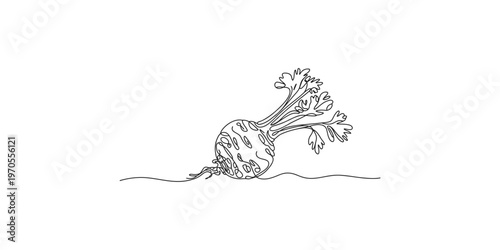 A black line drawing of a beetroot with leafy greens beet vegetable root food healthy