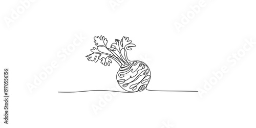 A line drawing of a beetroot with leaves on a white background beet root vegetable