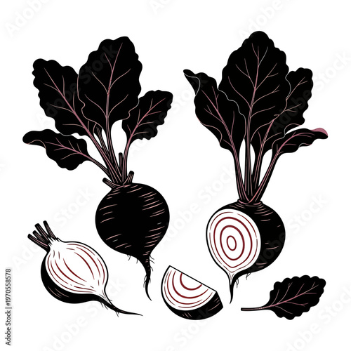 Beetroot Variety: An artistic illustration showcasing beetroots, revealing the vibrant hues and textures of this versatile root vegetable, with some pieces sliced to expose their inner beauty.