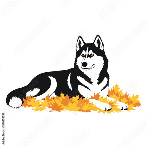 Loyal Companion Amidst Autumn Leaves: A beautiful, dignified husky dog lies amidst a bed of vibrant autumn leaves, exuding a sense of peace and contentment, its gaze fixed in the distance.