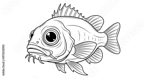 Detailed Freshwater Fish Vector Illustration Line Art Graphic for Kids Coloring Book, Educational Material, and Aquatic Life Design Element