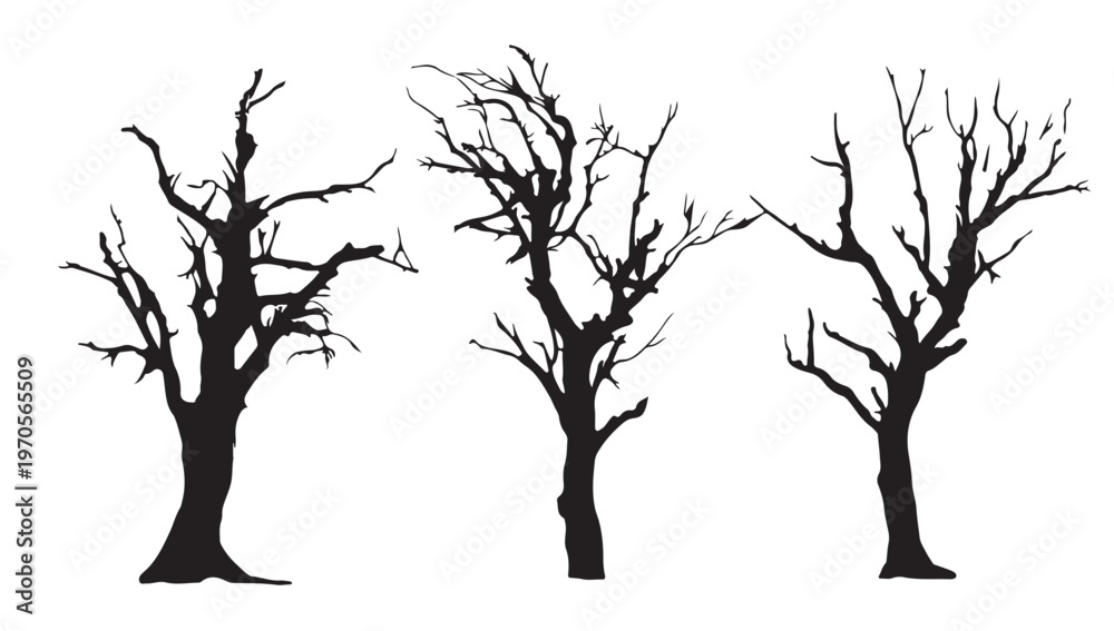 Fototapeta premium Silhouette of Barren Trees: Striking silhouettes of leafless trees stand tall, their intricate branches reaching towards the sky, evoking a sense of stark beauty.