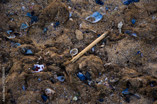 Fotografi Marine Pollution Texture Plastic Debris, Shells, and Seaweed on the Shore