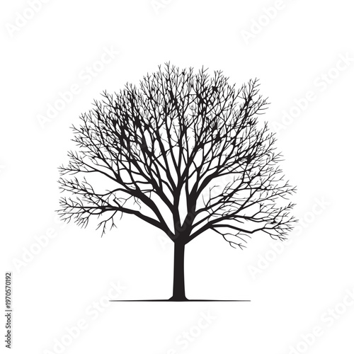 Silhouetted Tree of Life: A stark black silhouette of a tree against a clean background, its branches reaching upwards like intricate lace. Evokes feelings of solitude and natural elegance.