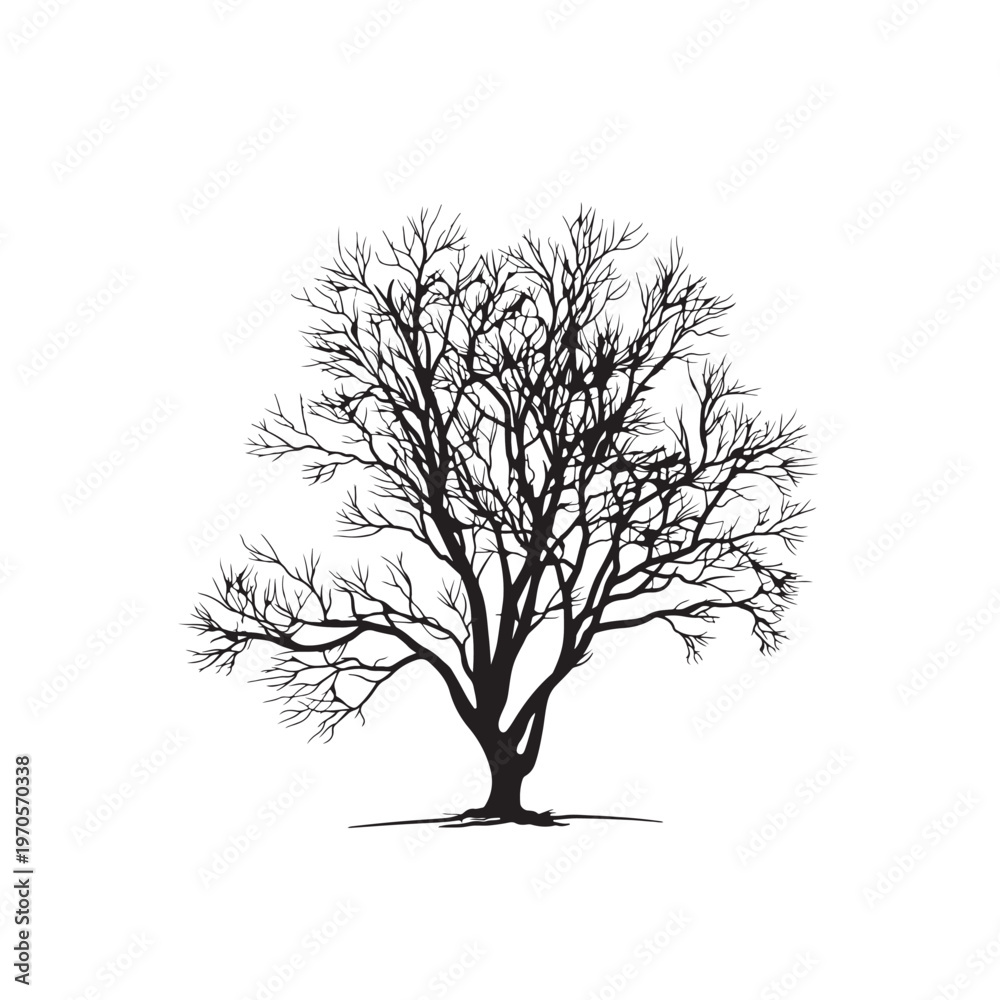 Obraz premium Silhouette of a Bare Tree: A stark black silhouette of a tree with bare branches stands in stark contrast. Its intricate network of limbs reaches outwards against the soft ambiance.