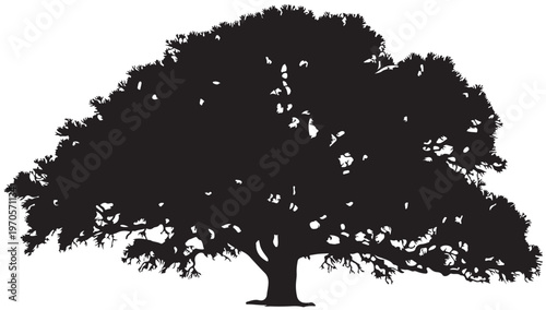 Majestic Oak Silhouette: A strong and majestic oak tree silhouetted against the sky, it's sprawling branches and lush foliage a testament to nature's resilience and beauty.