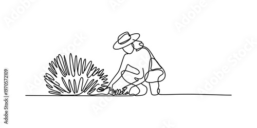 A continuous line drawing of a person wearing a hat while gardening and pruning a small bush. Vector, illustration