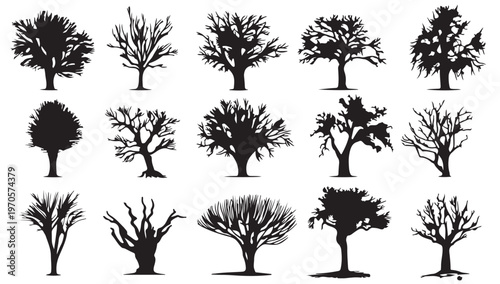 Variety of Trees Silhouette: A striking composition showcases an array of tree silhouettes, emphasizing the diversity in their forms and structures.