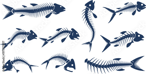 Collection of fish skeleton illustrations in various orientations and styles for scientific or artistic use