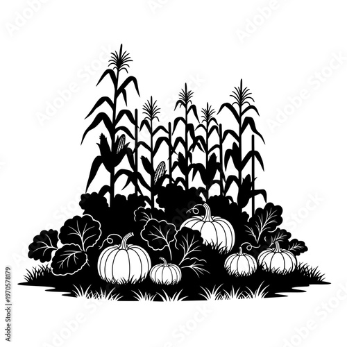 Harvest Bounty in Silhouette: A captivating silhouette showcases a bountiful harvest scene, featuring majestic corn stalks standing tall alongside plump pumpkins nestled amidst lush foliage.