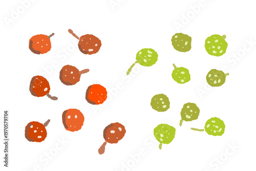 Loose Red and Green Sansho Peppercorns