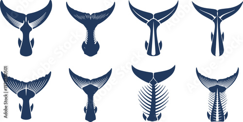 Collection of whale tail fluke illustrations featuring skeletal and solid designs isolated on transparent background