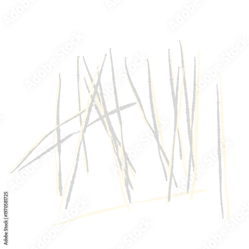 Shredded White Leek (Shiraga-negi)