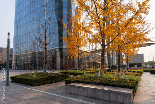 Photography city park with modern building background in shanghai
