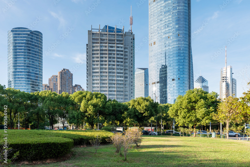 Fototapeta premium city park with modern building background in shanghai