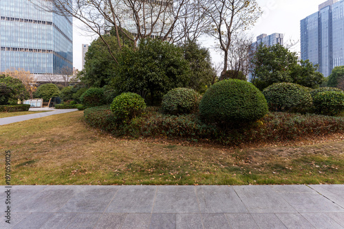 city park with modern building background in shanghai