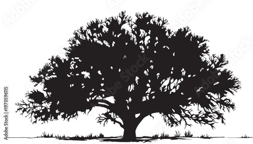 Monochromatic Oak Silhouette: A majestic oak tree, its silhouette rendered in stark contrast, standing proudly against a minimal backdrop. The illustration portrays a timeless symbol of strength.