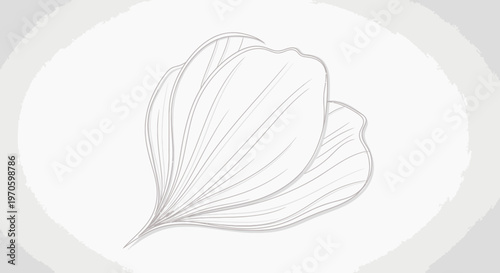 Elegant Floral Sketch, Delicate Petals, Minimalist Line Art, Botanical Illustration, Soft Background