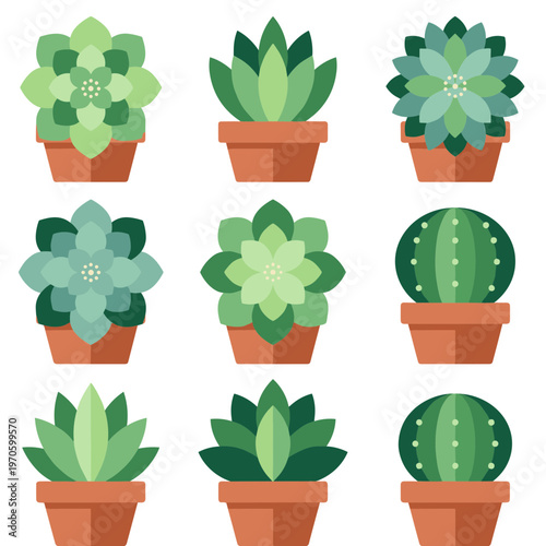 Set of Flat Vector Succulent and Cactus Icons in Clay Pots Isolated on White Background, Green Houseplants Collection for Home Decoration and Interior Design