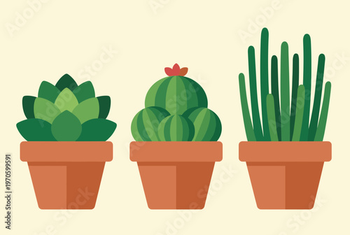 Three Different Potted Succulents and Cacti in Clay Pots Isolated on Beige Background, Minimalist Houseplants Set for Home Interior and Garden Design