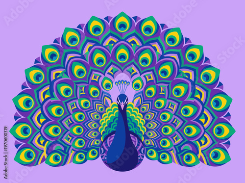 Majestic Peacock with Beautiful Spread Tail Feathers Decorative Patterned Bird for Wildlife Nature Conservation and Exotic Animal Kingdom Illustration
