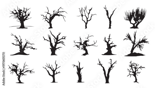 Barren Silhouette: An evocative array of stark, barren trees stands against a backdrop. Evoking a sense of stark beauty and the raw power of nature.