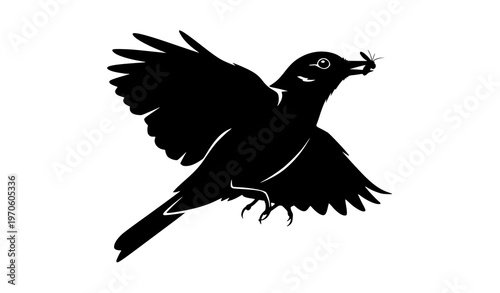 Flycatcher bird silhouette catching insect in flight isolated on white background dynamic avian vector