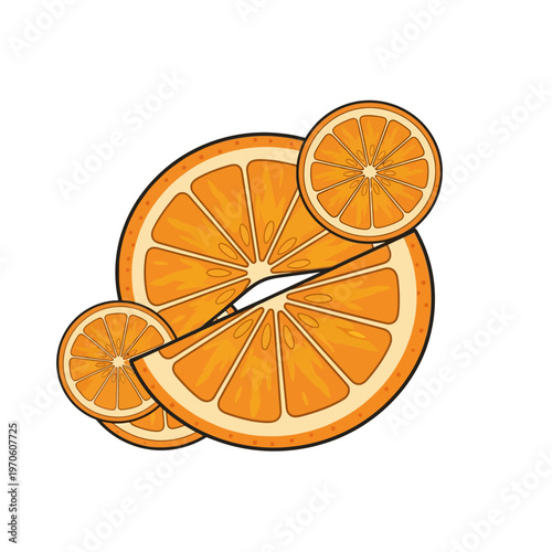 Colorful vector orange fruit slices illustration