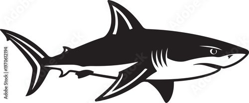 Black and white shark illustration on clean background