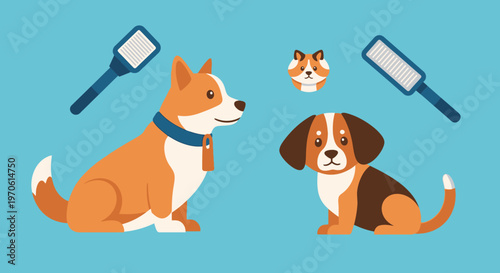 Cute dogs and grooming tools, corgi and beagle puppies, flat design illustration
