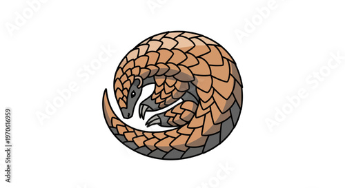 Curled Pangolin Illustration Isolated on White Background