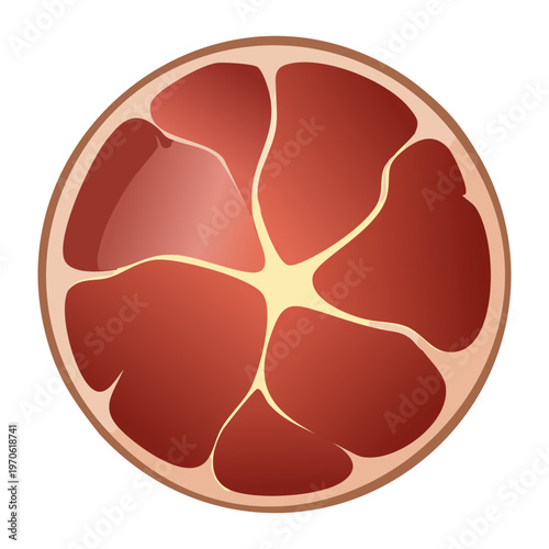 Sliced red meat with fat marbling for grocery store and fresh butcher shop display - Vector Illustration