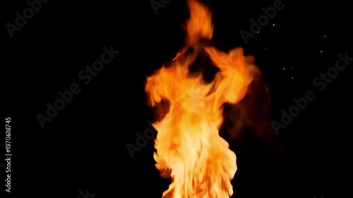 Fiery flames dance and flicker against a stark black background