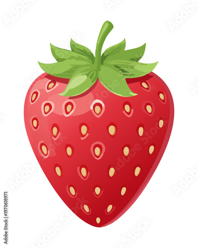 Fresh ripe red strawberry fruit for healthy dessert and organic fruit market promotion - Vector Illustration