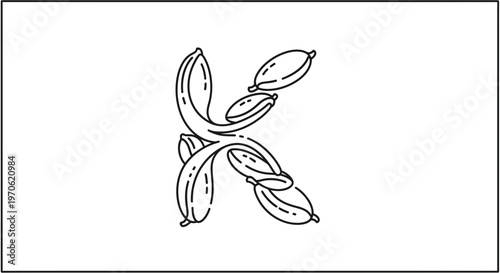Letter K formed by Cardamom Pods, Alphabet, Spice, Organic Food