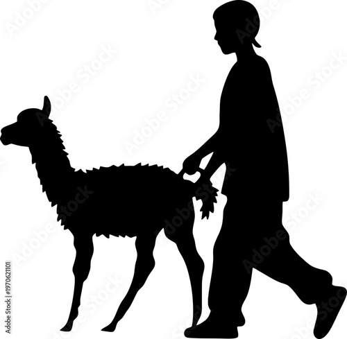 Traditional Andean Herder Walking with an Alpaca Silhouette Isolated on White